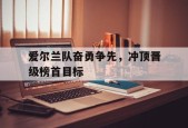 九州体育-爱尔兰球队