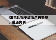 九州体育入口-vfb莱比锡